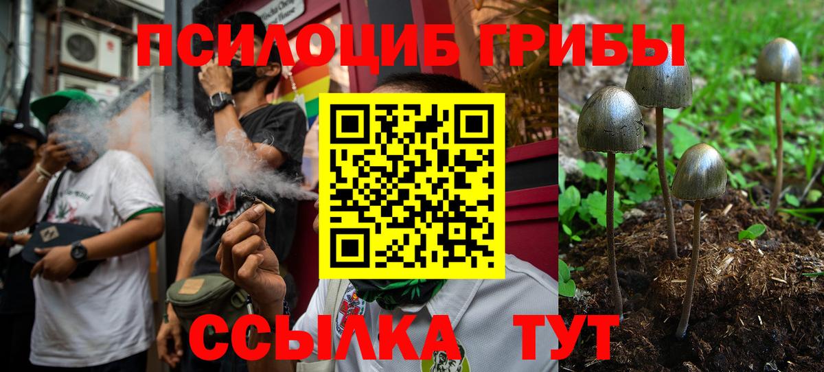 Галлюциногенные грибы мухоморы  Псилоцибиновые грибы Magic Shrooms  Саров  Вход с VPN 